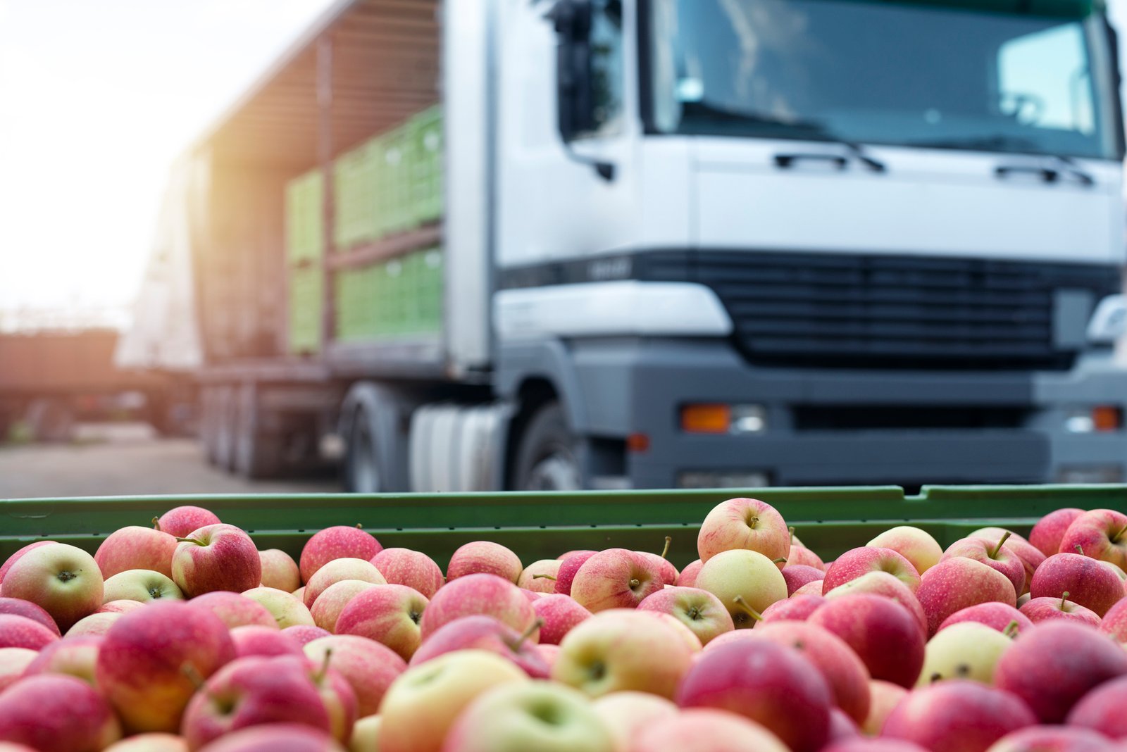 Fruit And Food Distribution. Truck Loaded With Containers Full Of Apples Ready To Be Shipped To The Market. reparto de fruta a hoteles y restaurantes